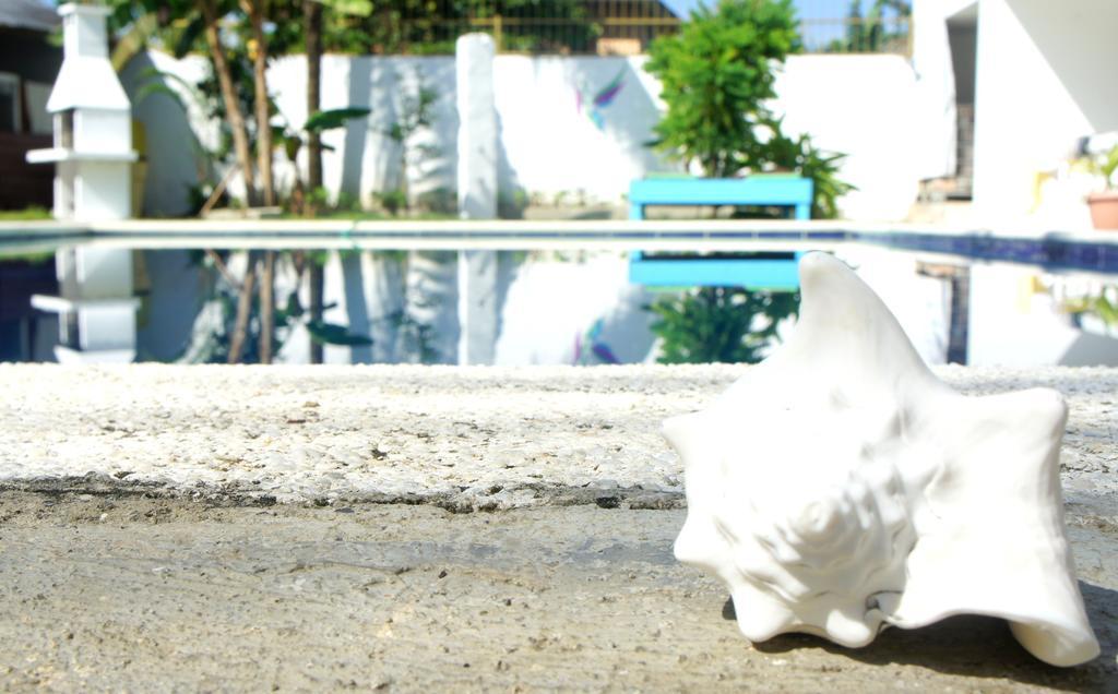Hummingbird Cabarete Aparthotel Exterior foto