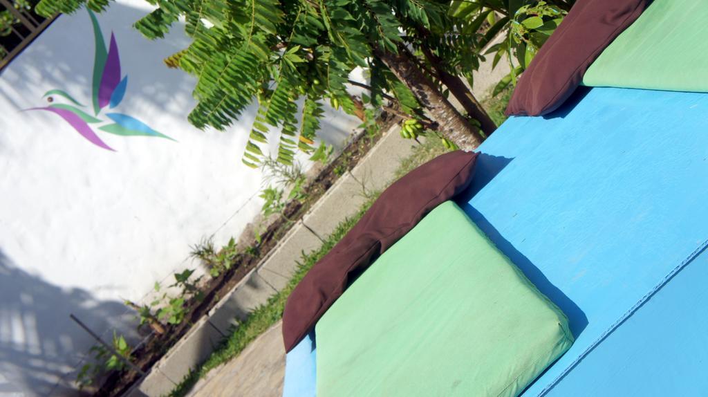 Hummingbird Cabarete Aparthotel Exterior foto